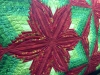 Chrysalis_flower