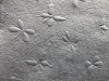 butterflies_back