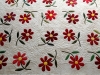 daisies_bordercentre