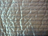 Opulentia 4   (back)   close up 2